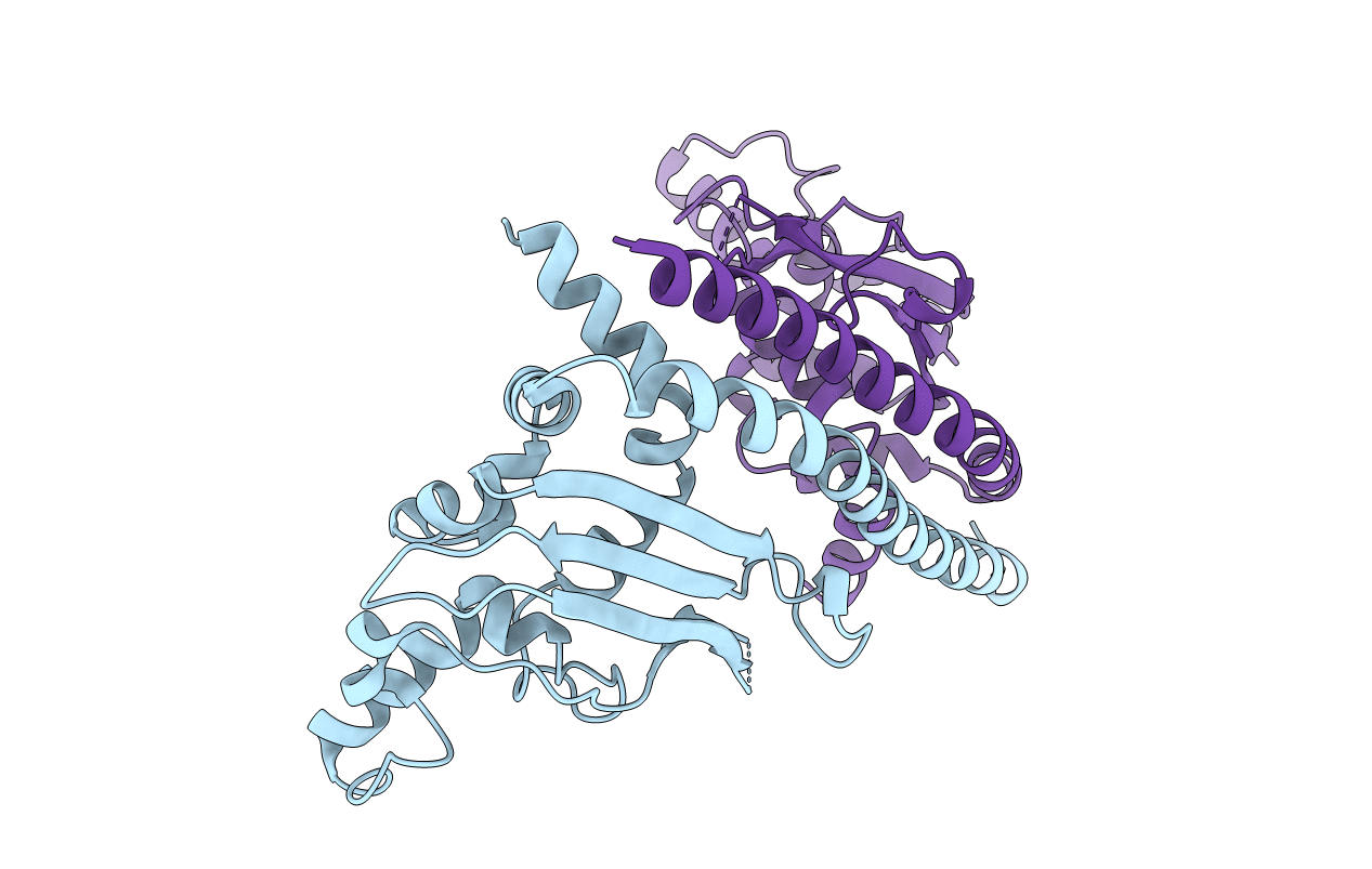 3DM7 image