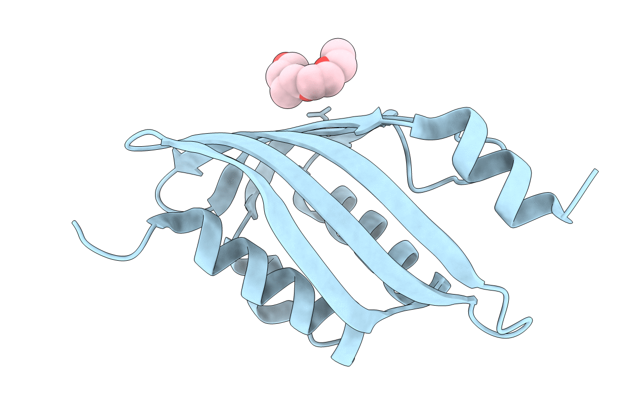 3DM8 image