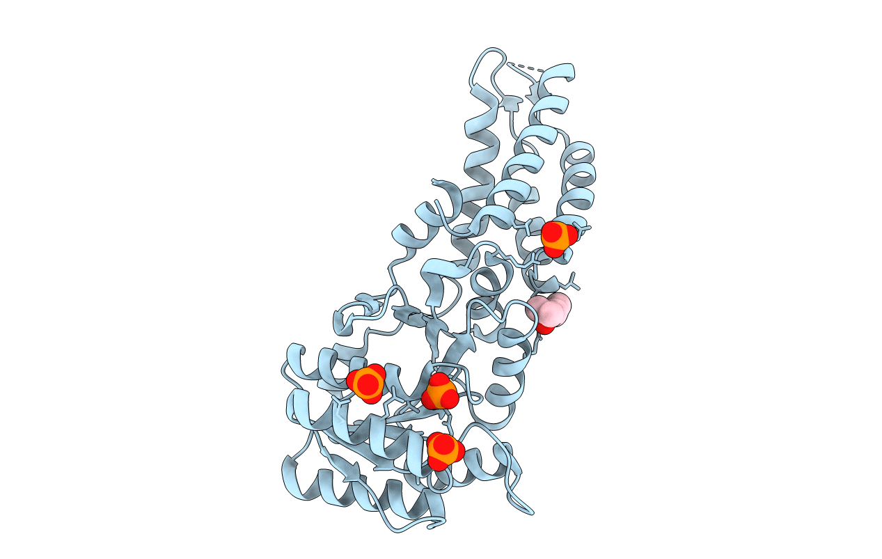 3DM9 image