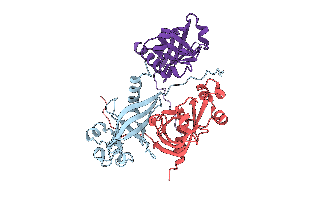 3DMB image