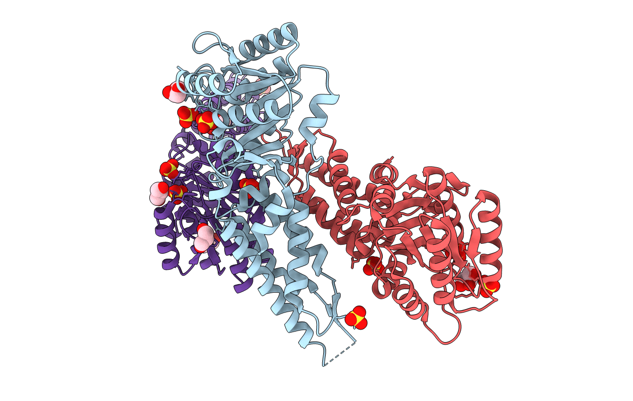 3DMD image