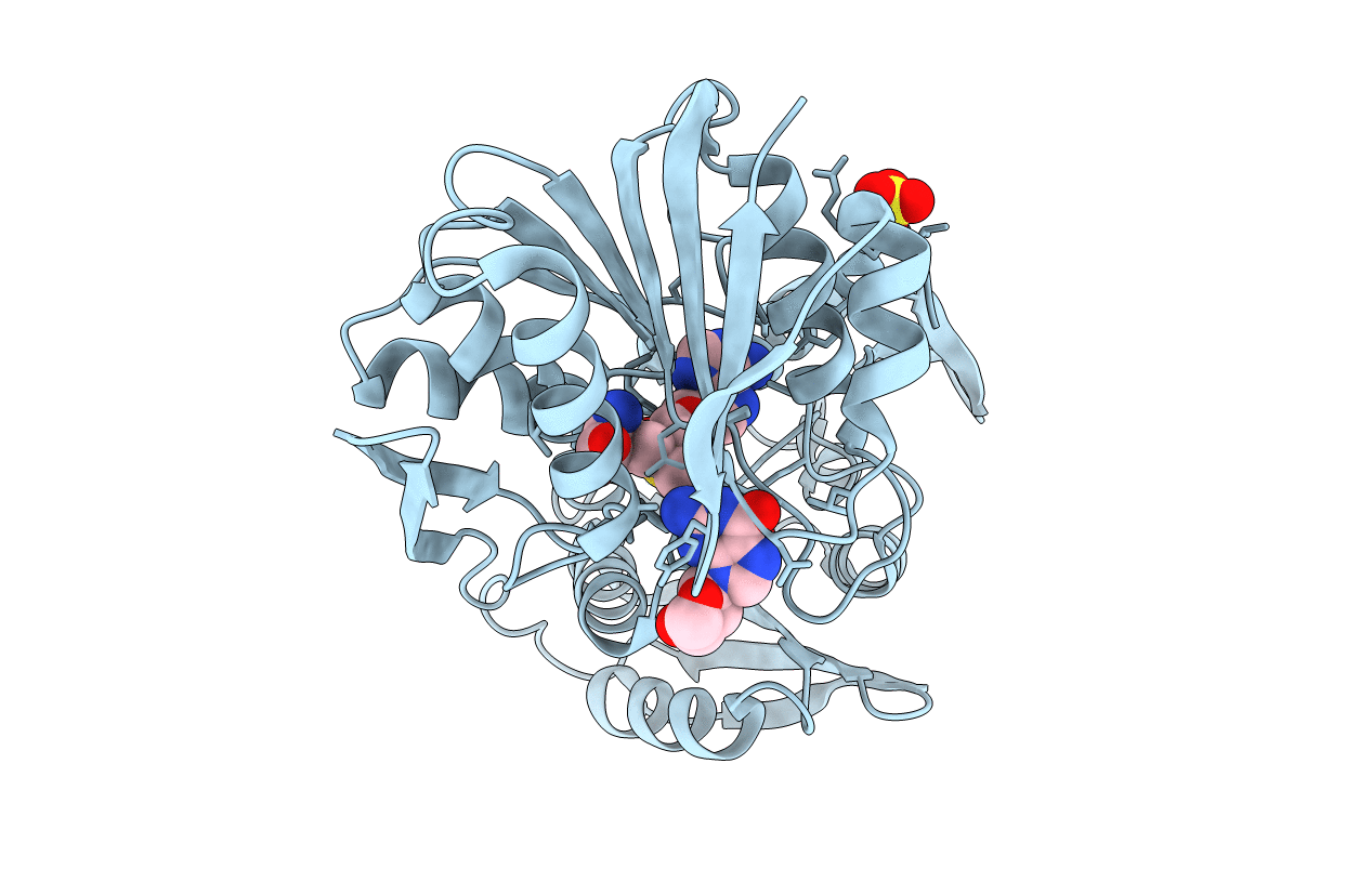 3DMH image