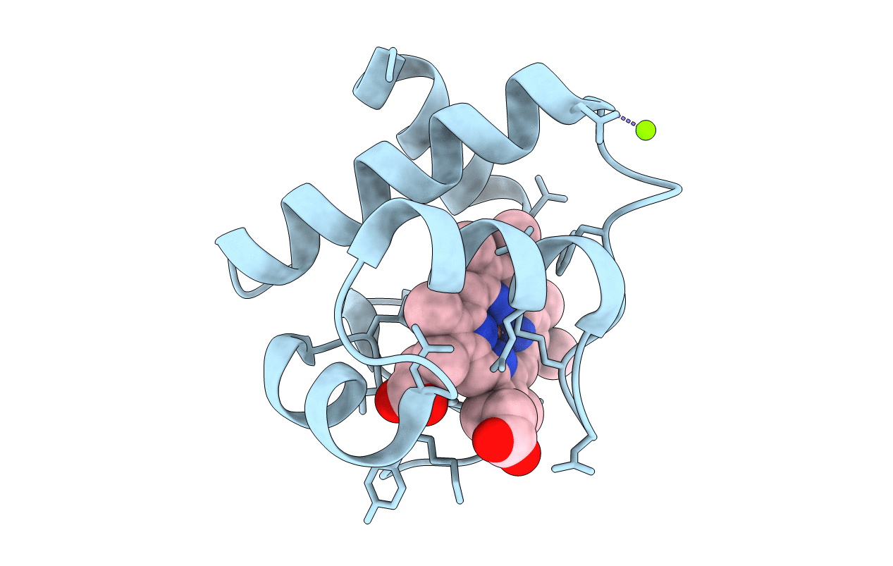 3DMI image