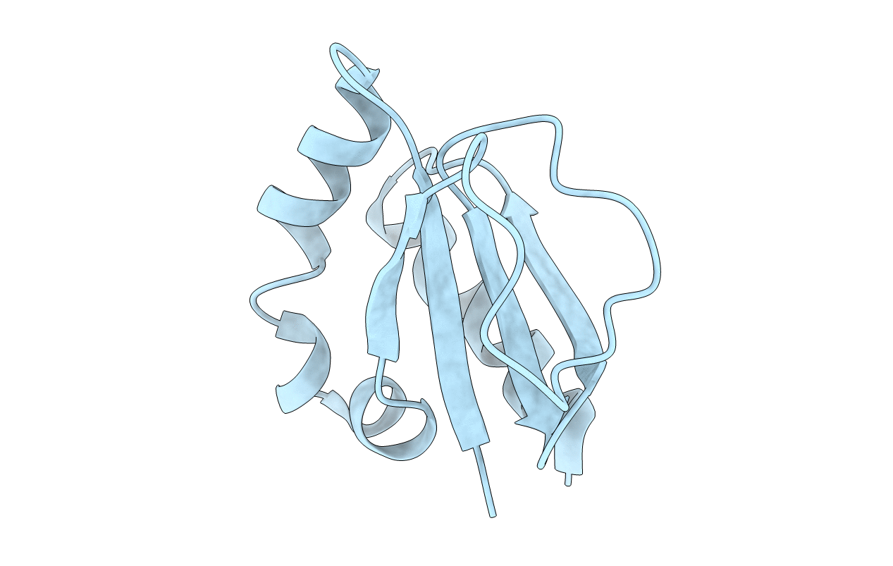 3DML image
