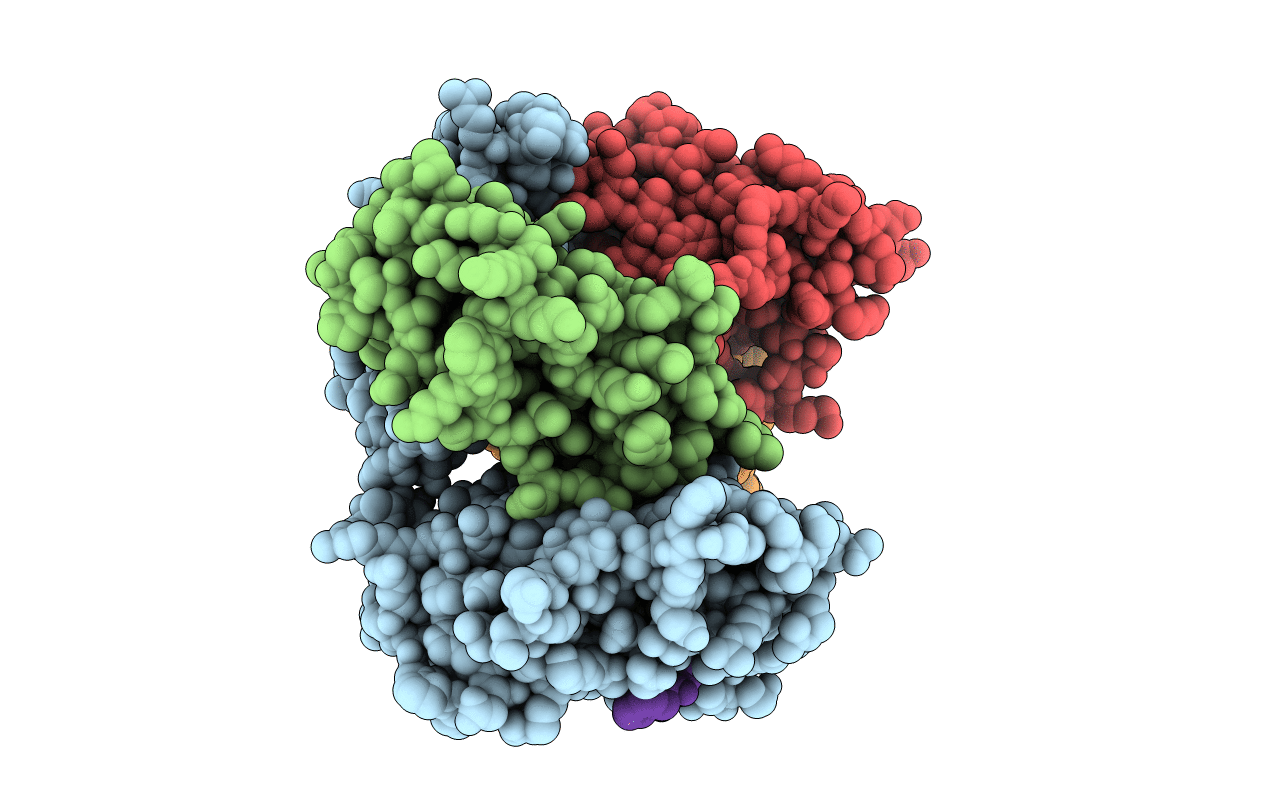 3DMM image