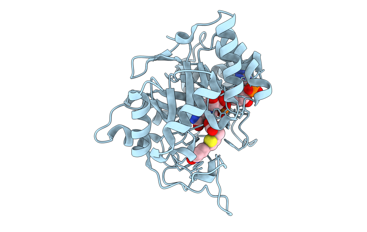 3DN5 image