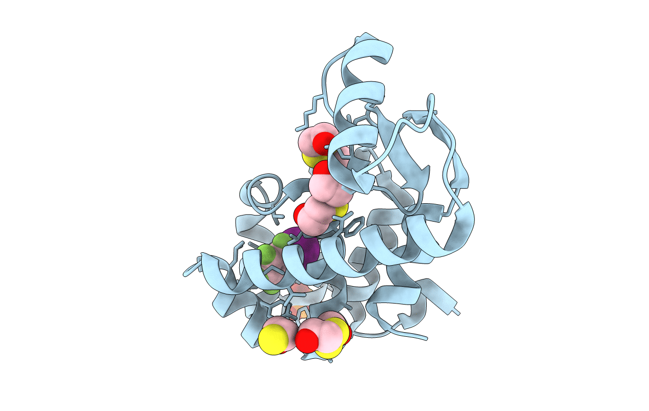 3DN8 image