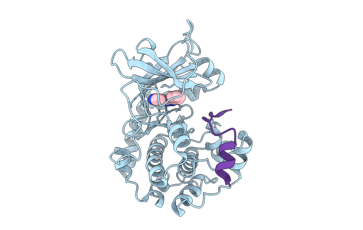 3DNE image