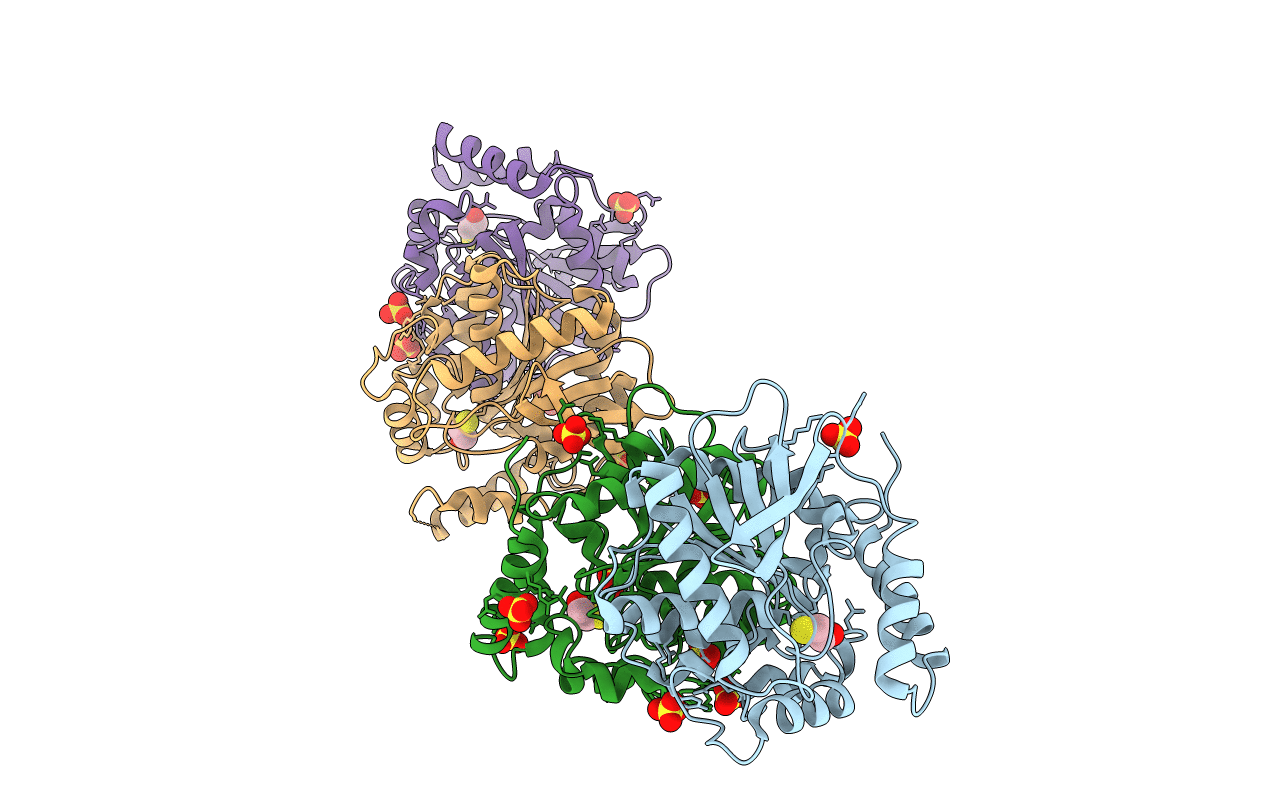 3DNM image