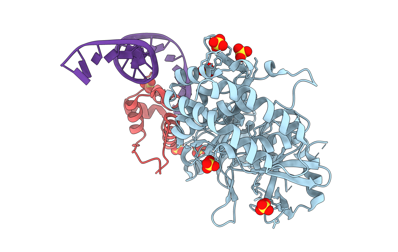 3DNV image