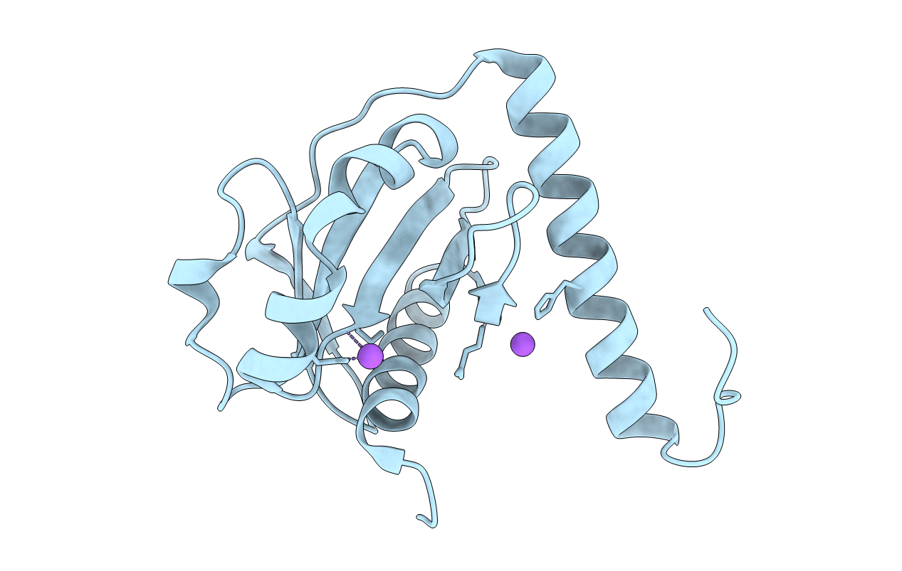 3DNX image