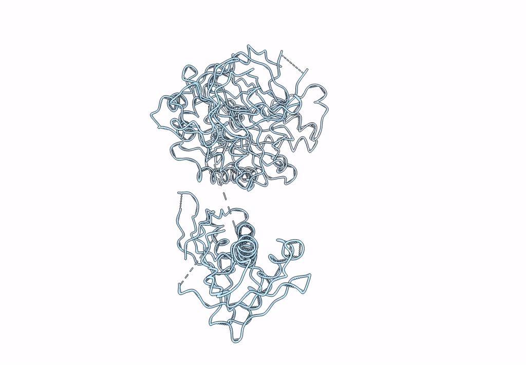 3DNY image