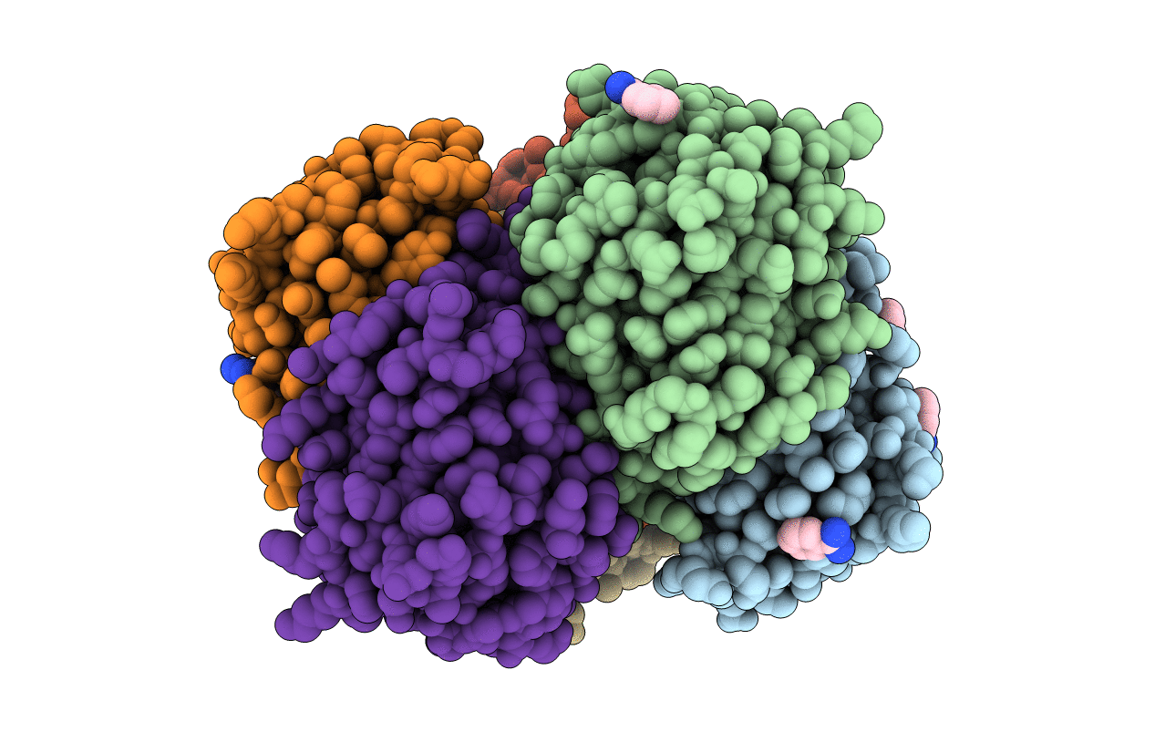 3DP2 image