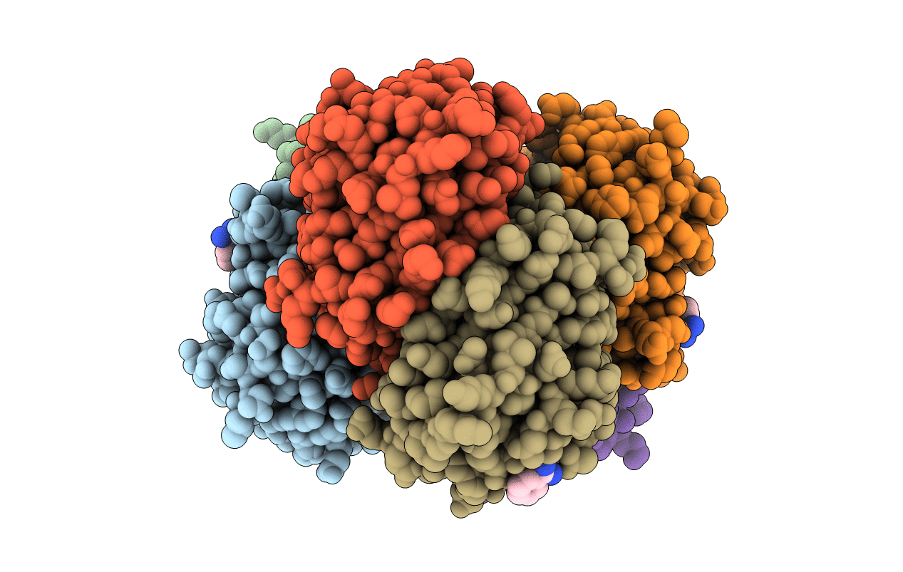 3DP3 image