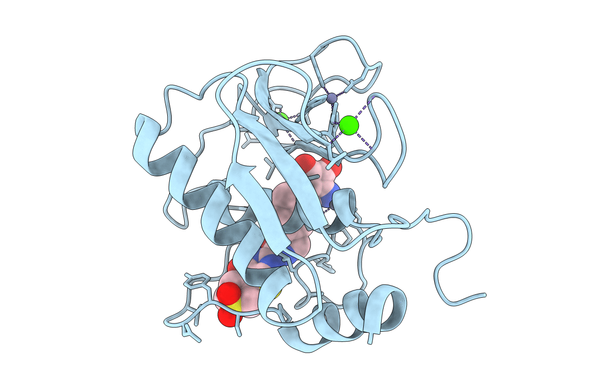 3DPE image