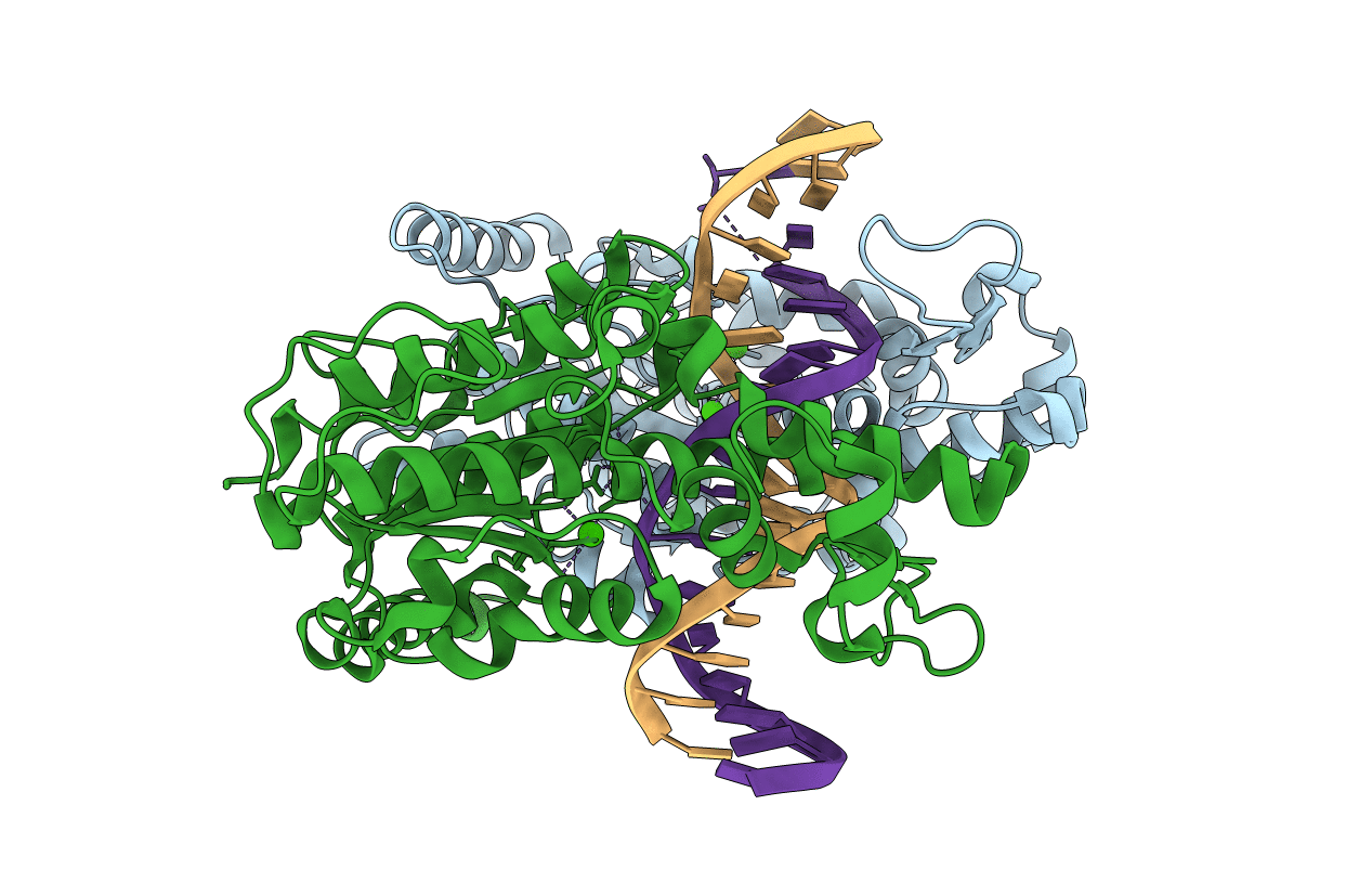 3DPG image