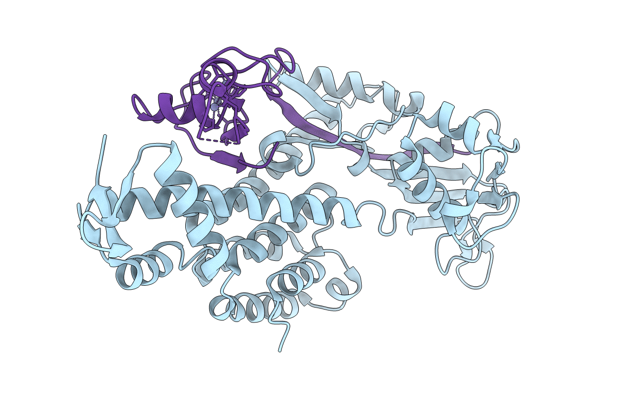 3DPL image