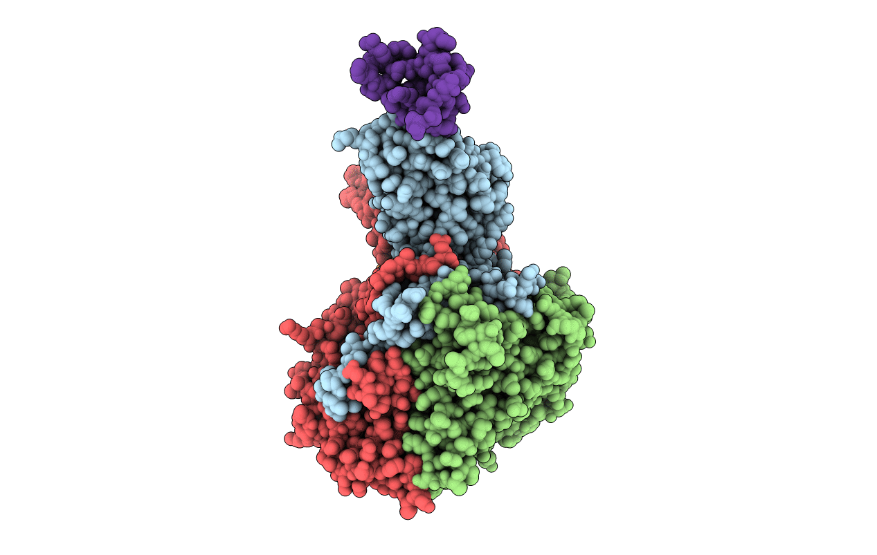 3DPR image