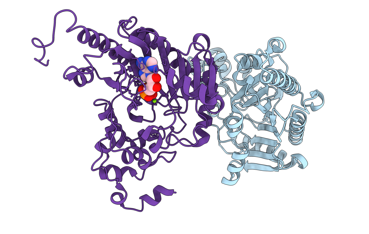 3DRB image