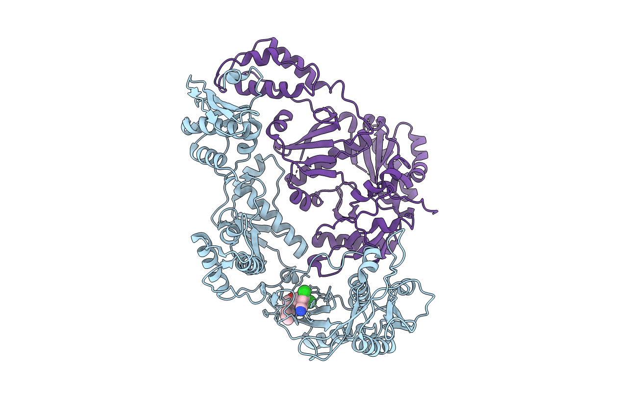 3DRS image