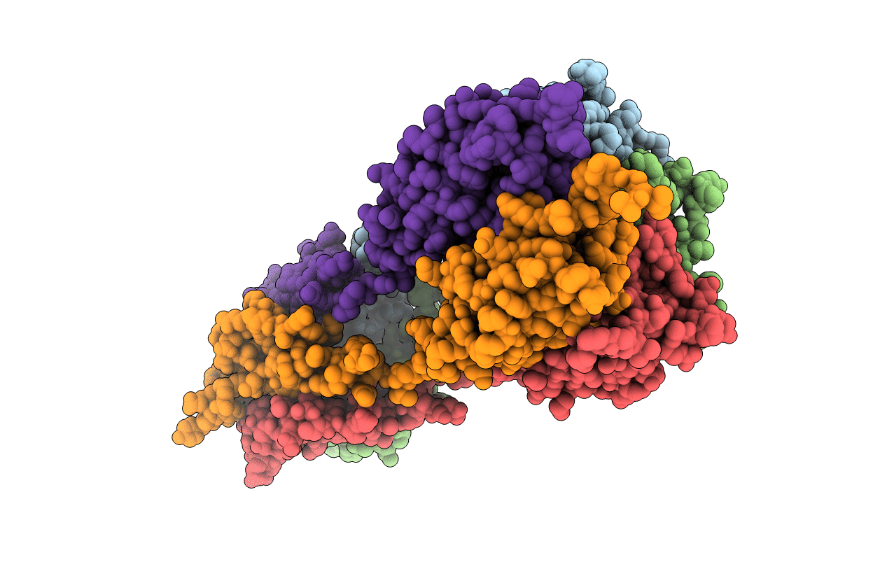 3DRX image
