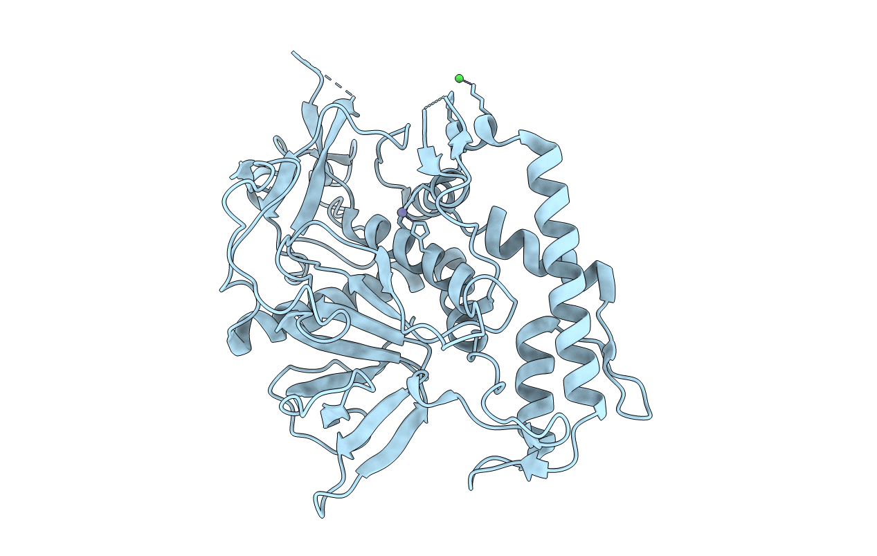 3DSE image