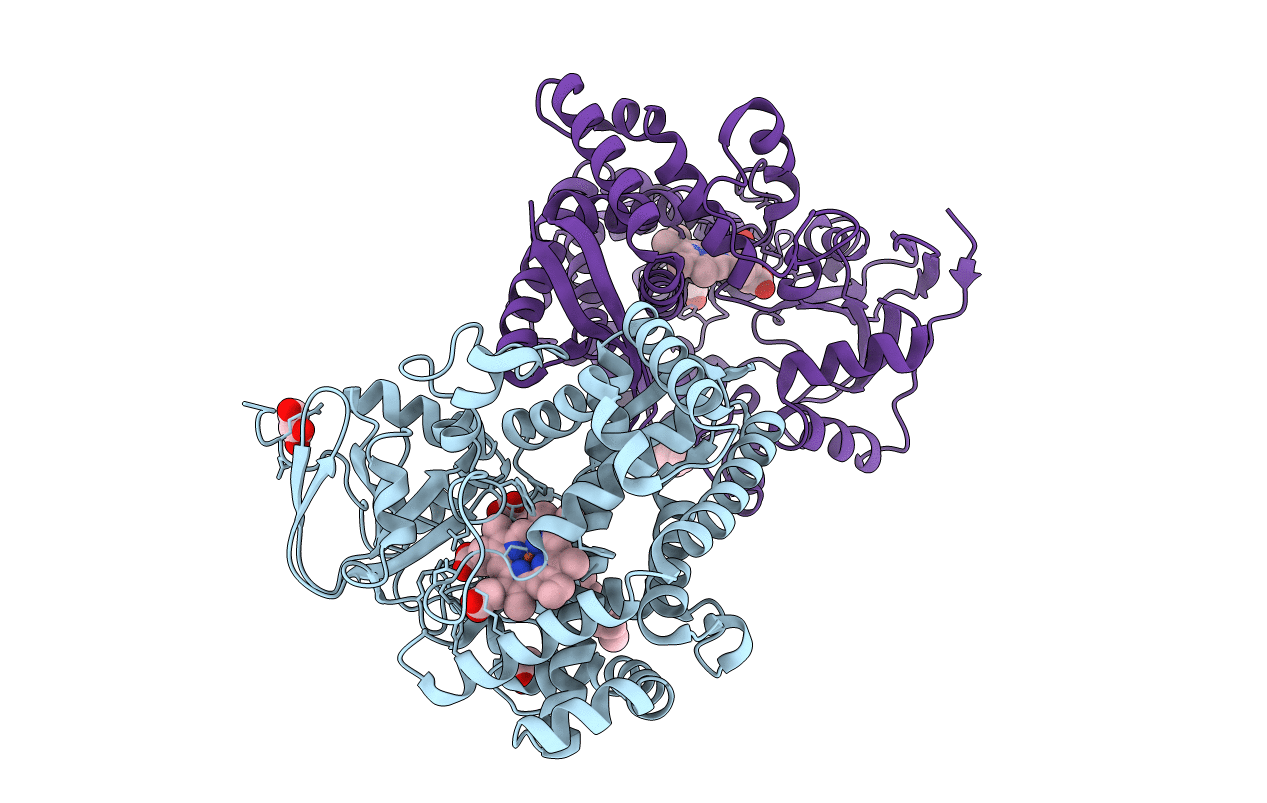 3DSK image