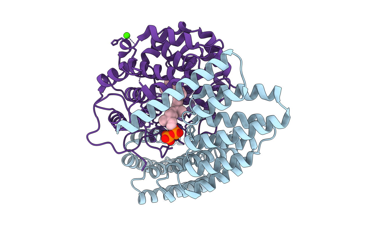 3DST image