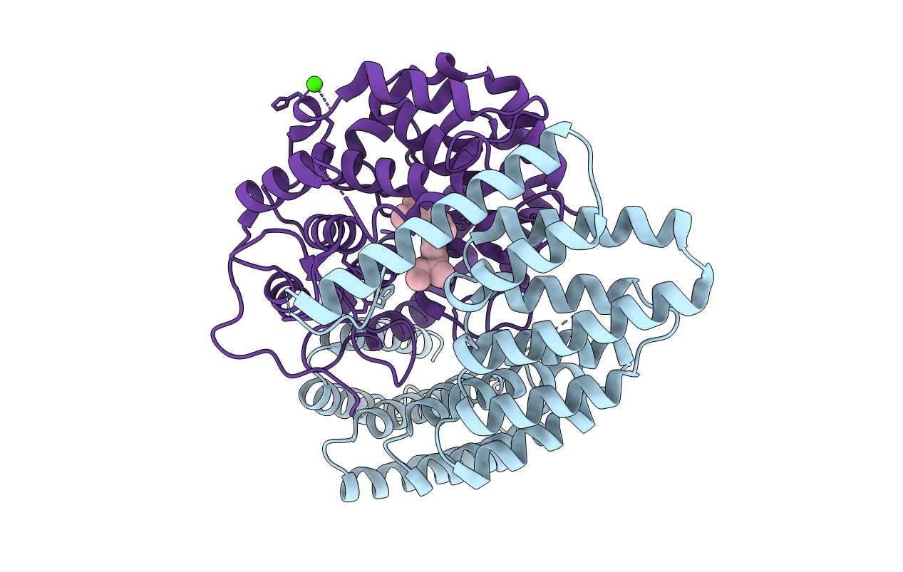 3DSV image