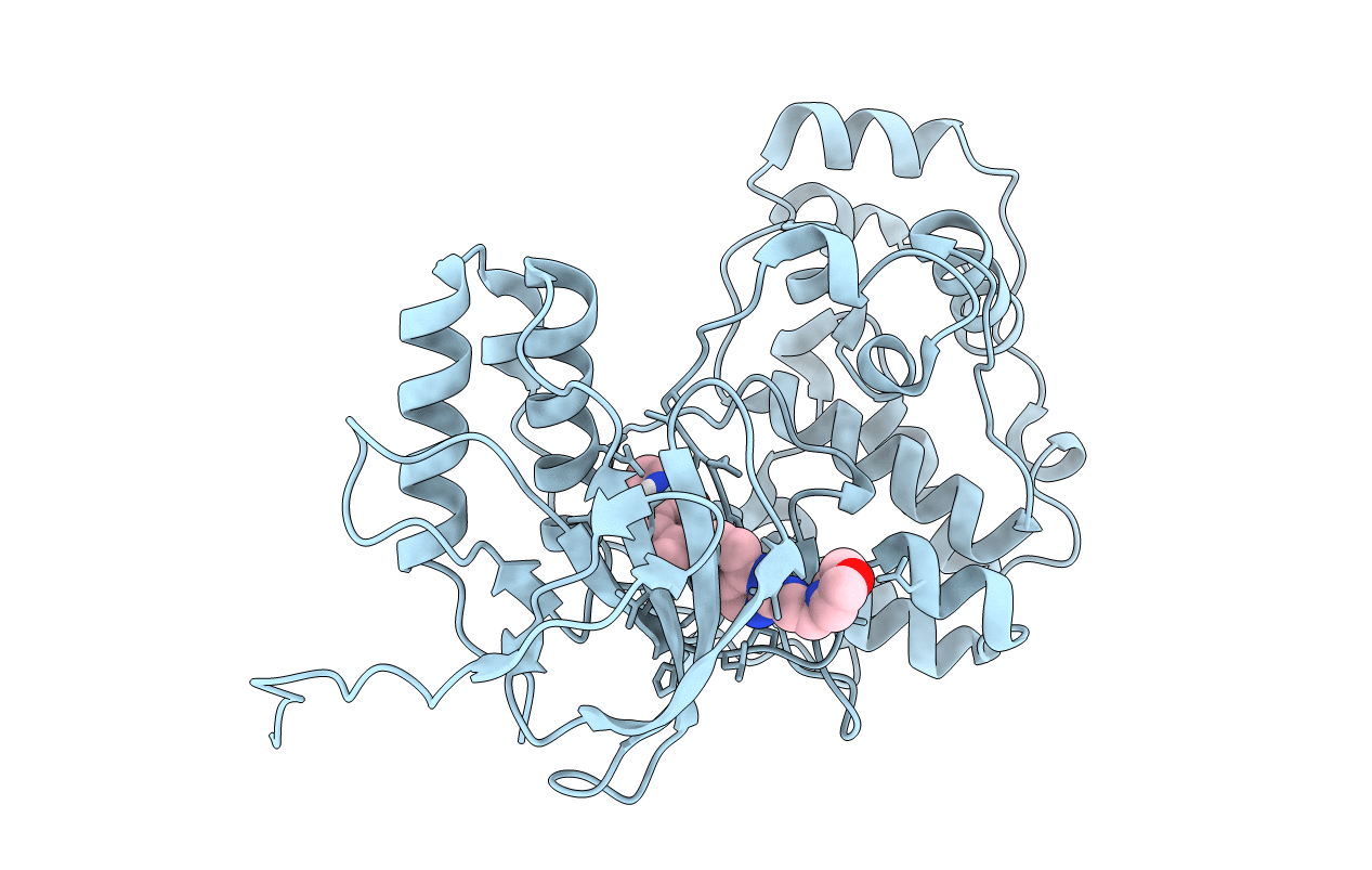 3DT1 image