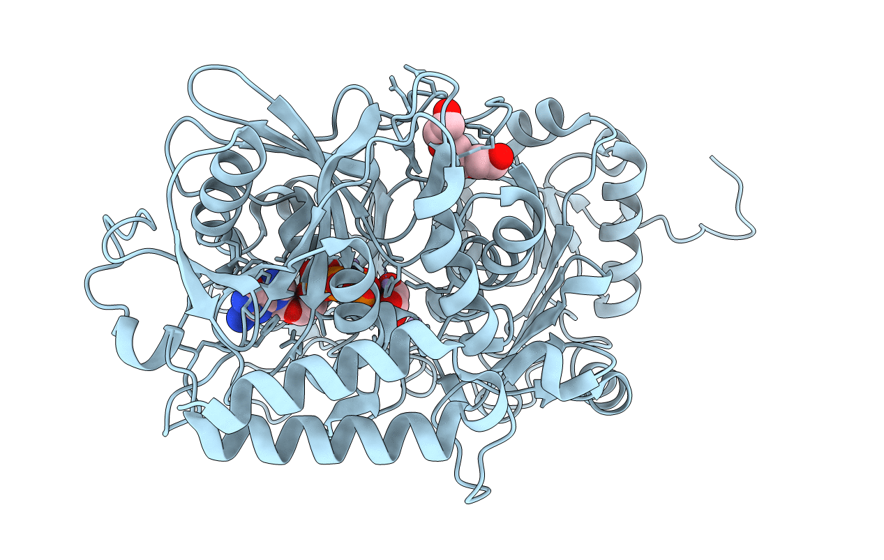 3DT2 image