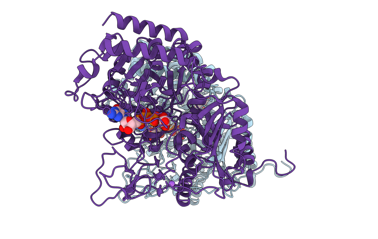 3DT4 image