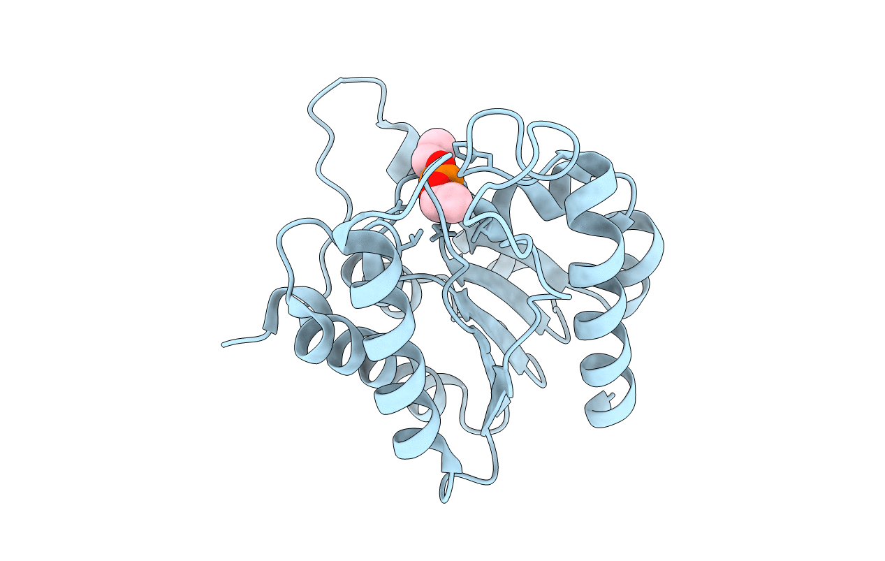3DT6 image