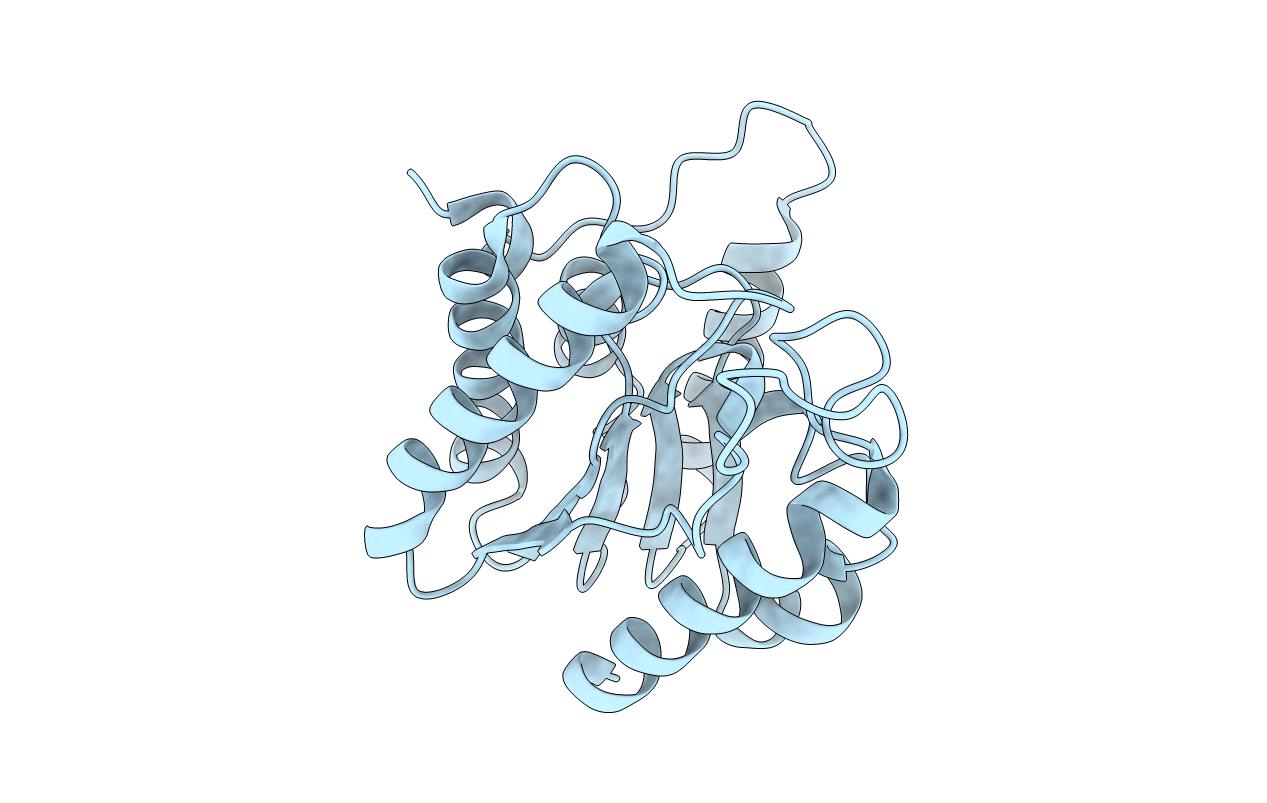 3DT8 image