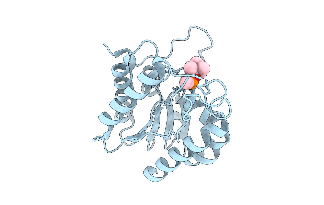 3DT9 image