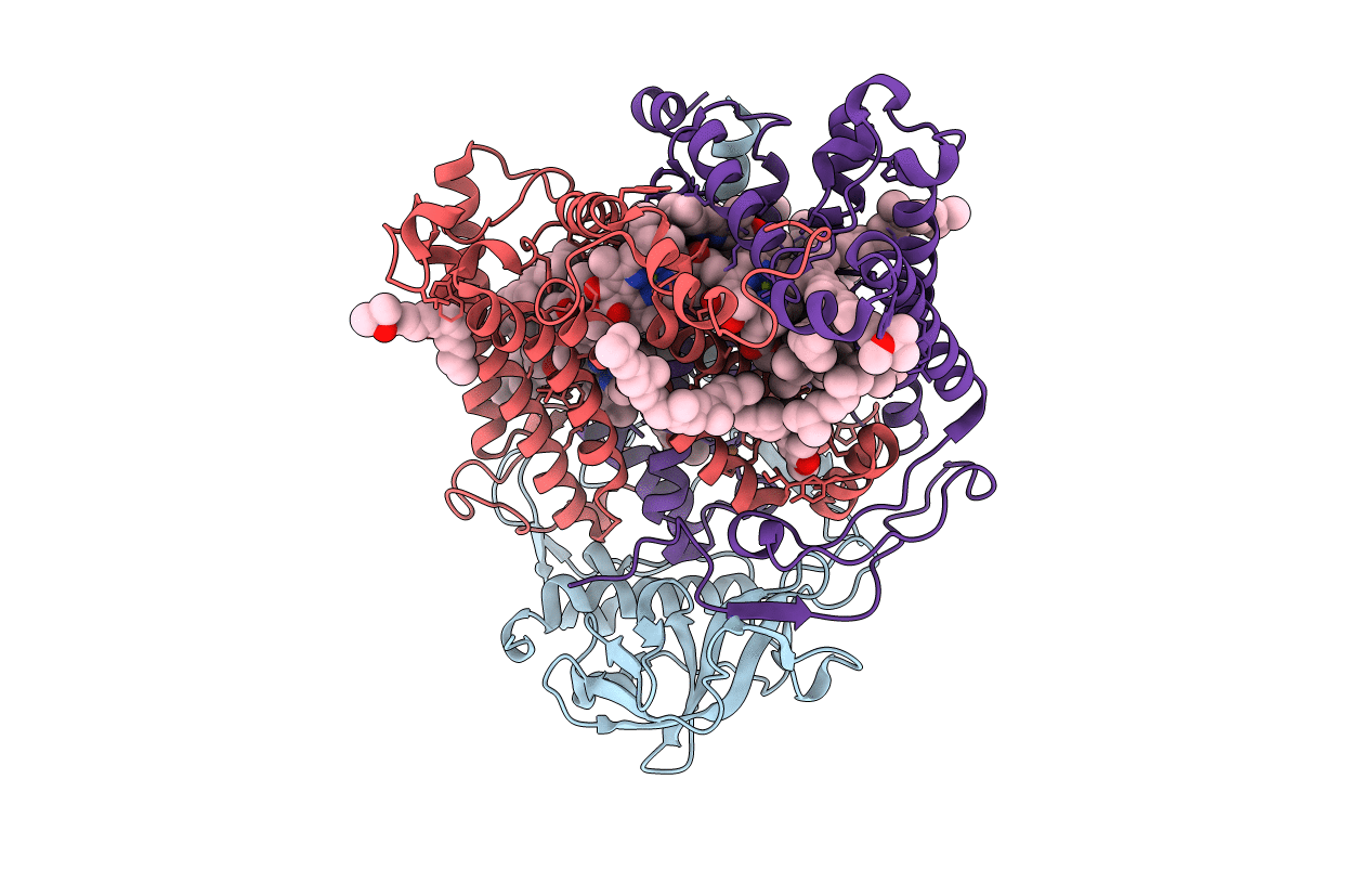 3DTA image