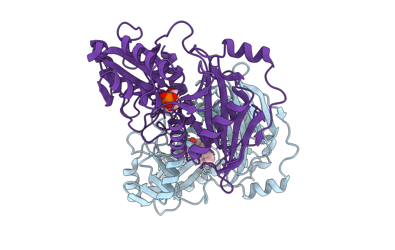 3DTG image
