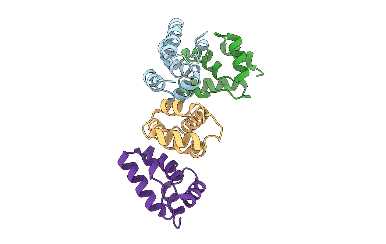 3DTJ image