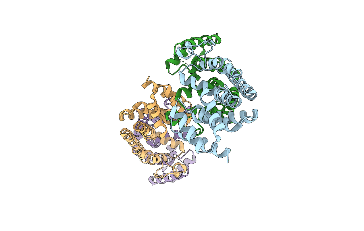 3DTO image