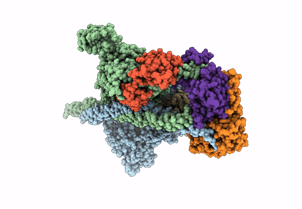 3DTP image
