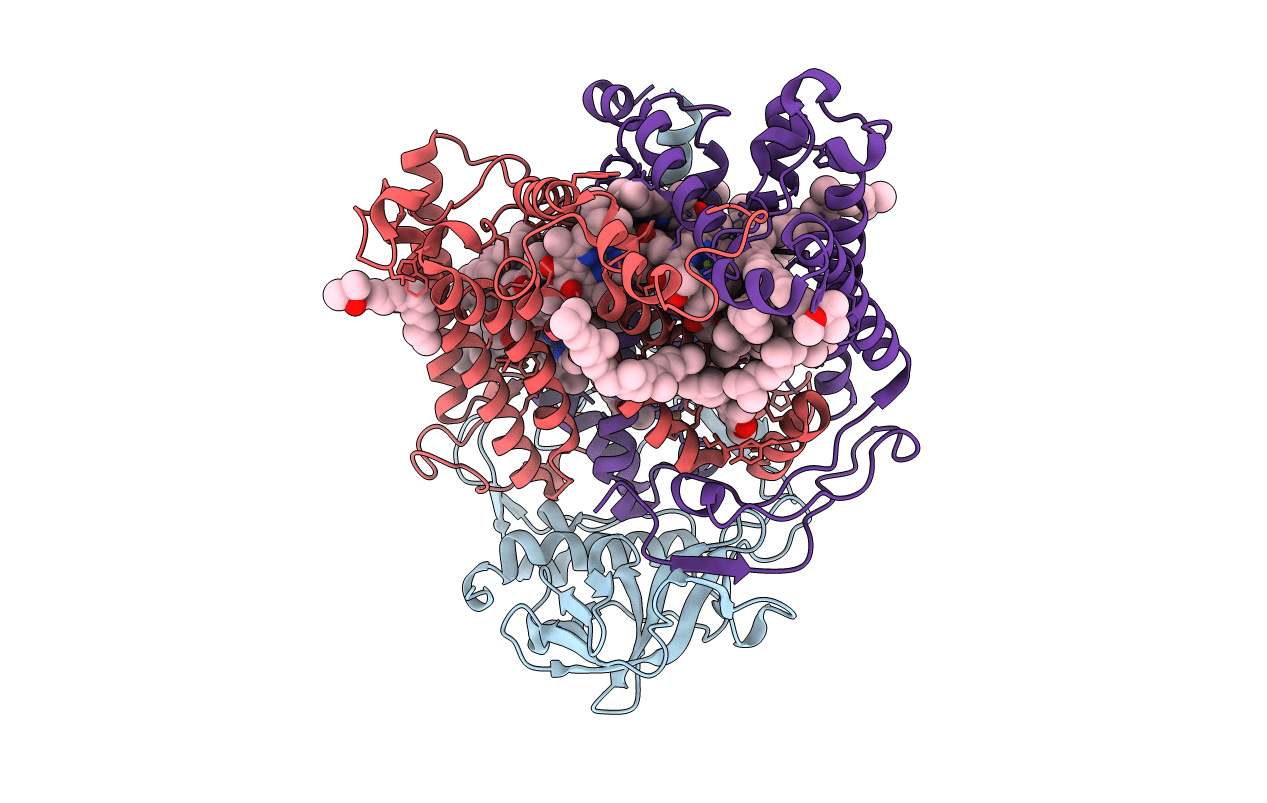 3DTR image