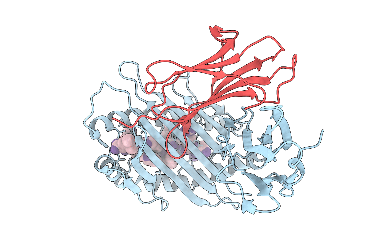 3DTX image