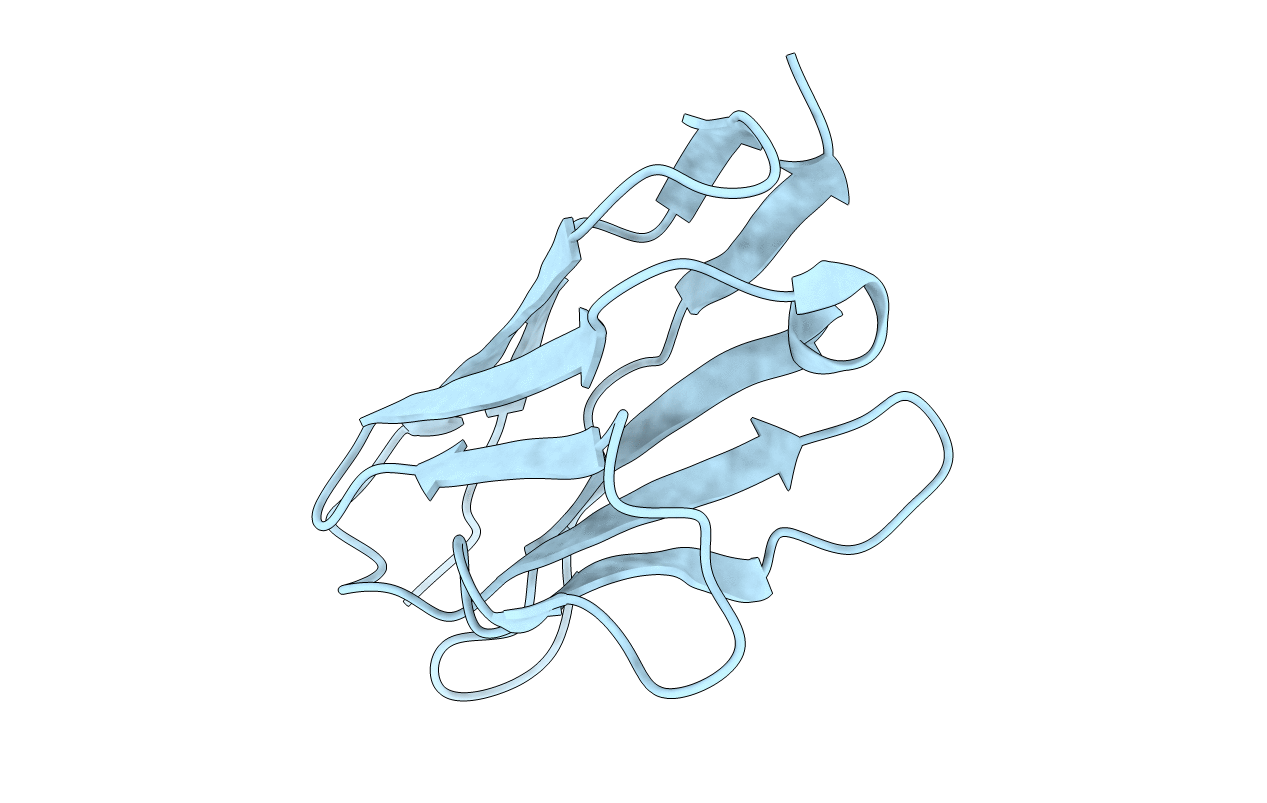 3dvi image