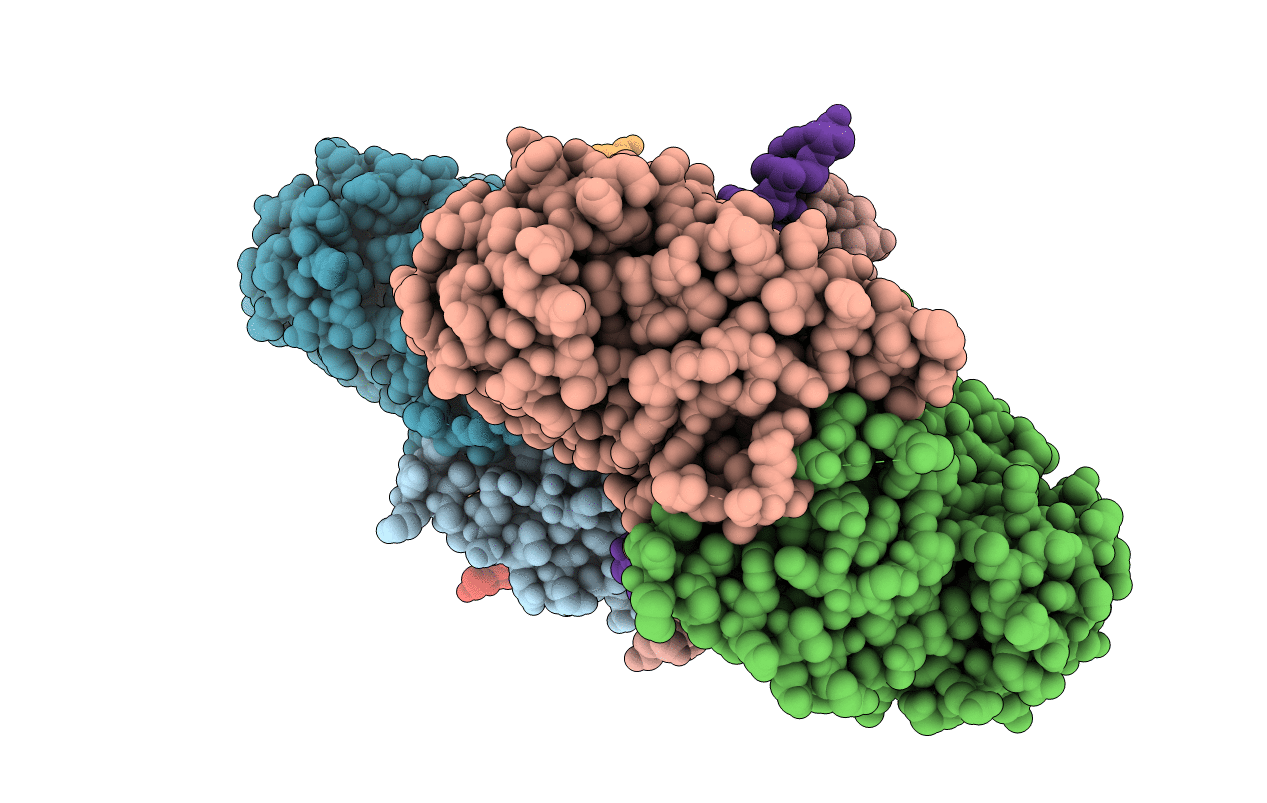 3DVO image