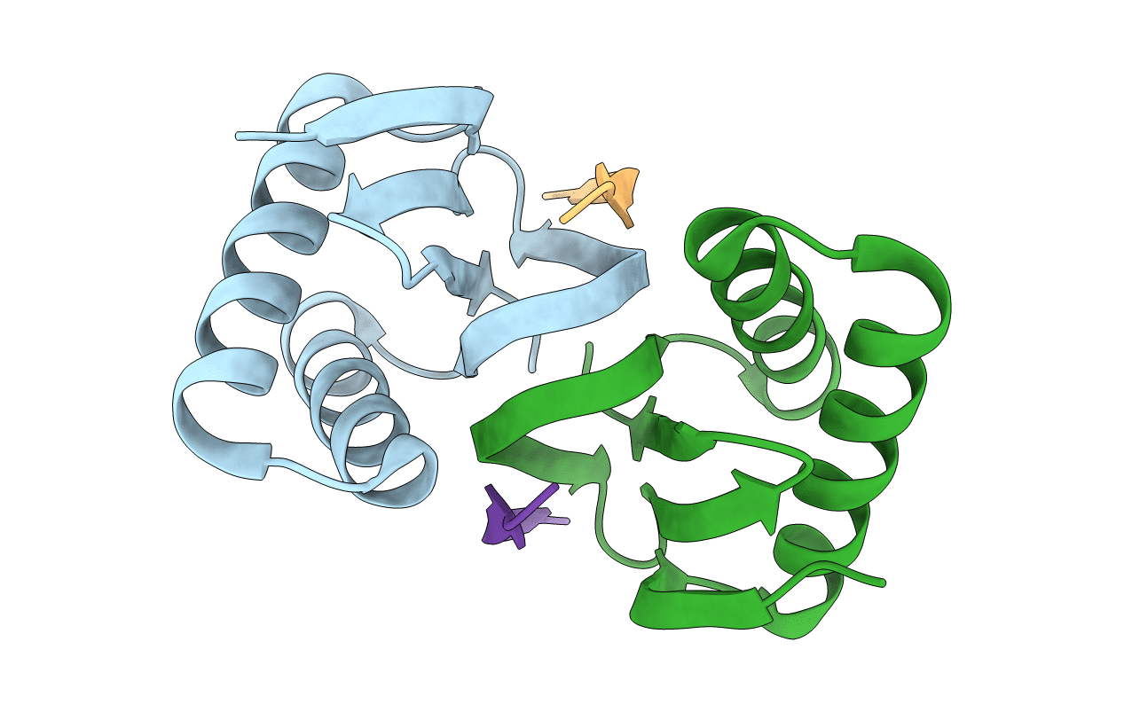 3DVP image