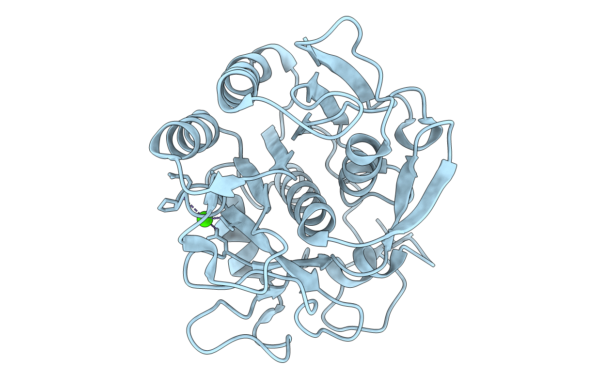 3DVR image