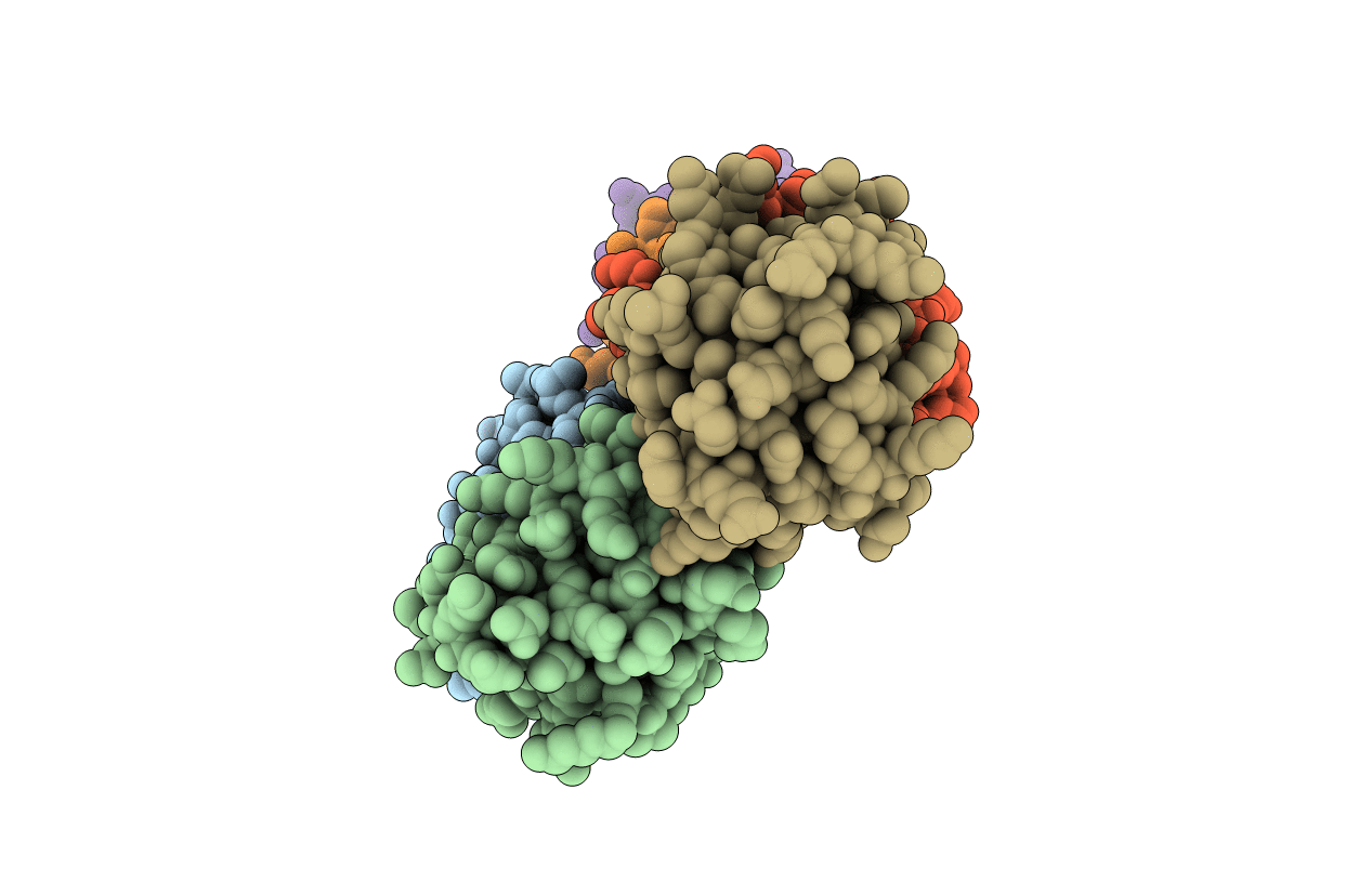 3DVT image