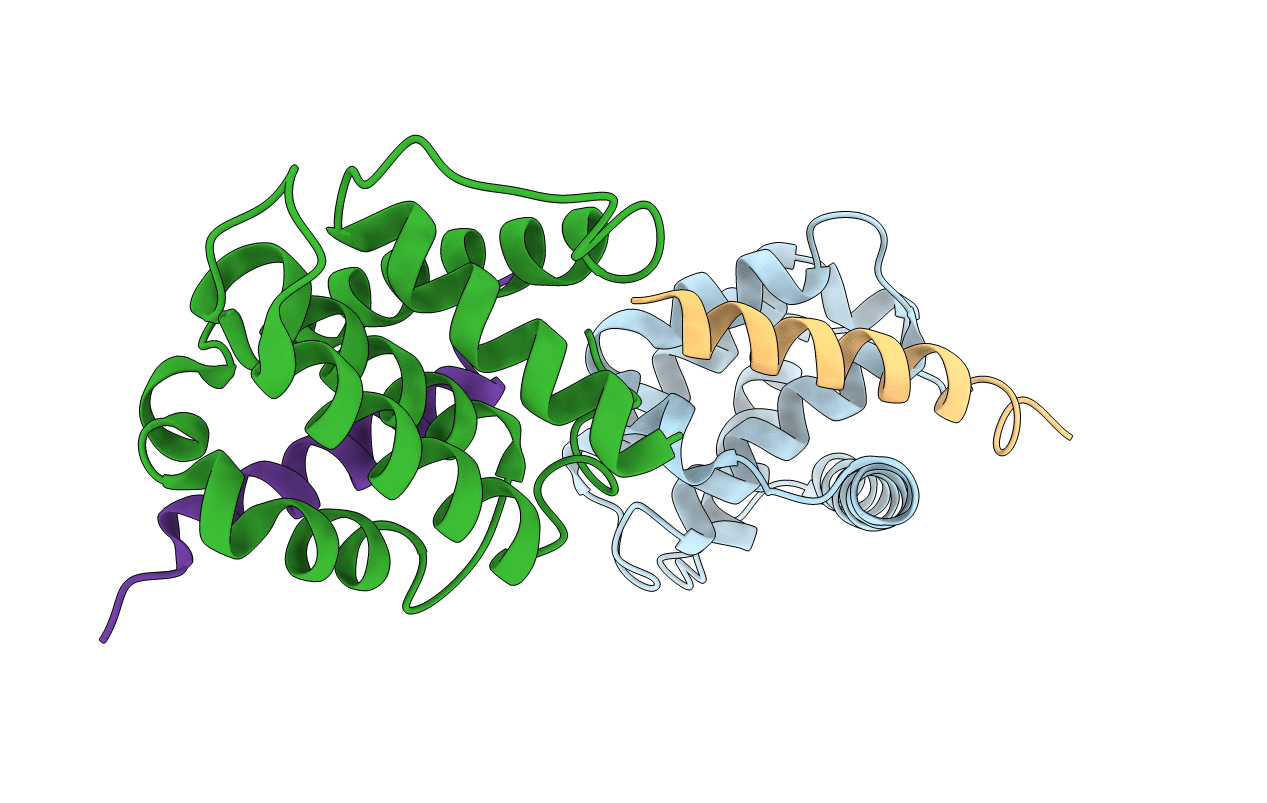 3DVU image