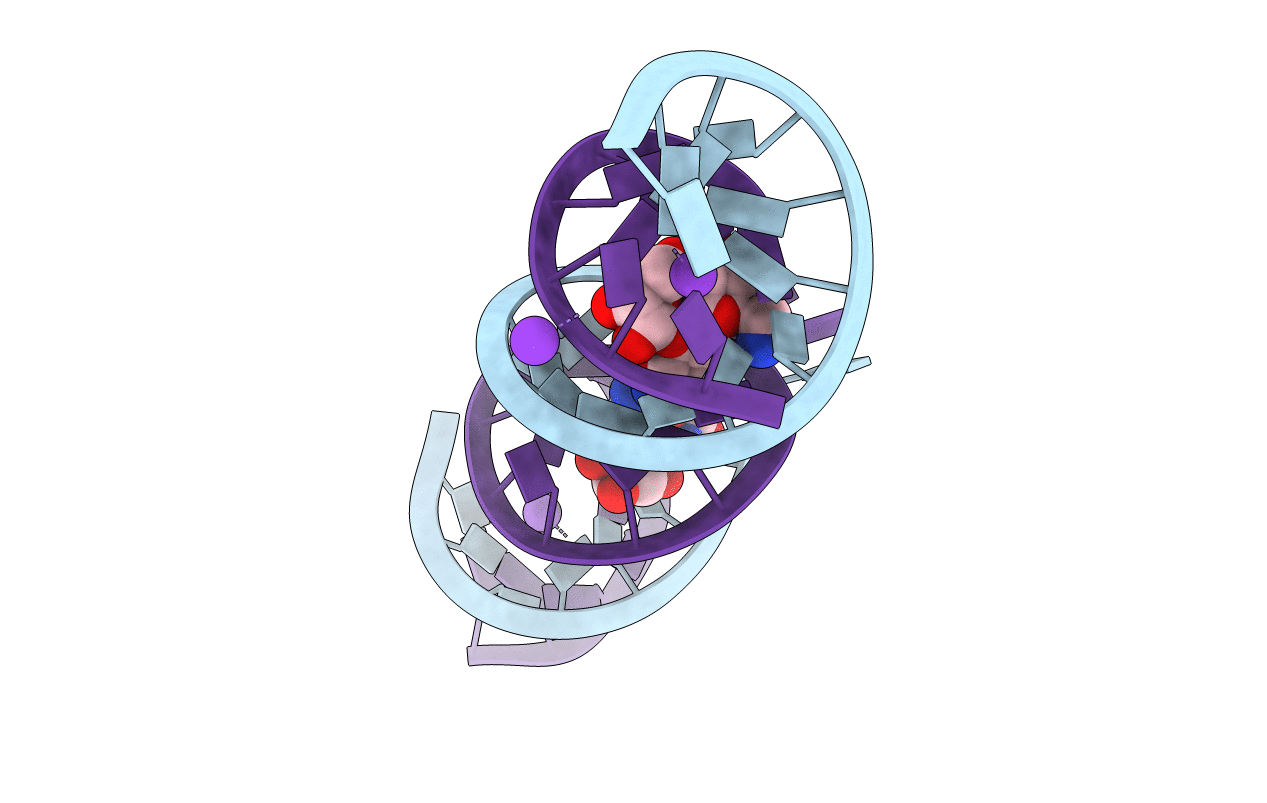 3DVV image