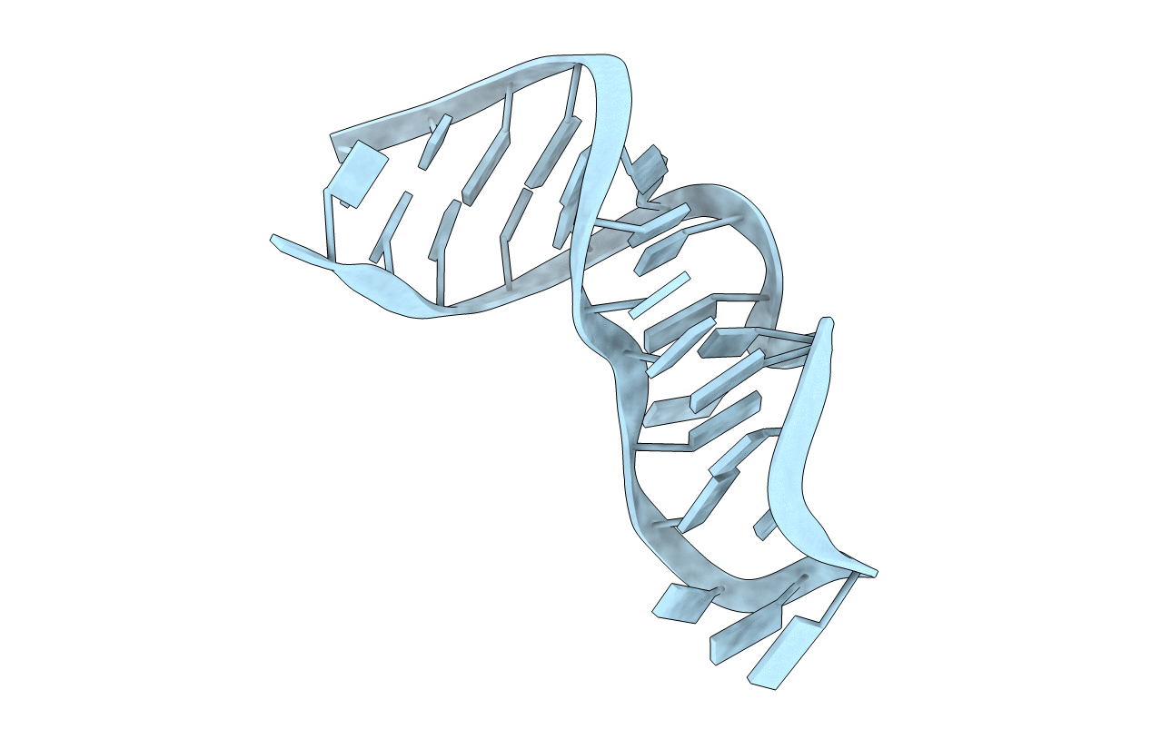 3DW5 image